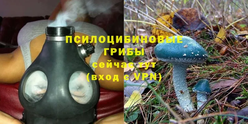 купить наркотик  Алупка  Псилоцибиновые грибы MAGIC MUSHROOMS 